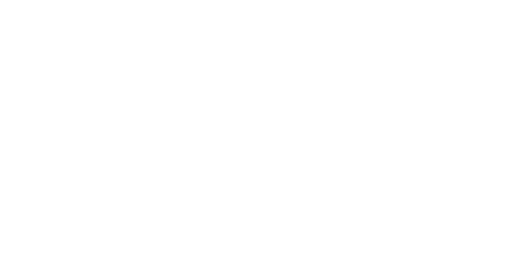 DFK — De Franse Kamer